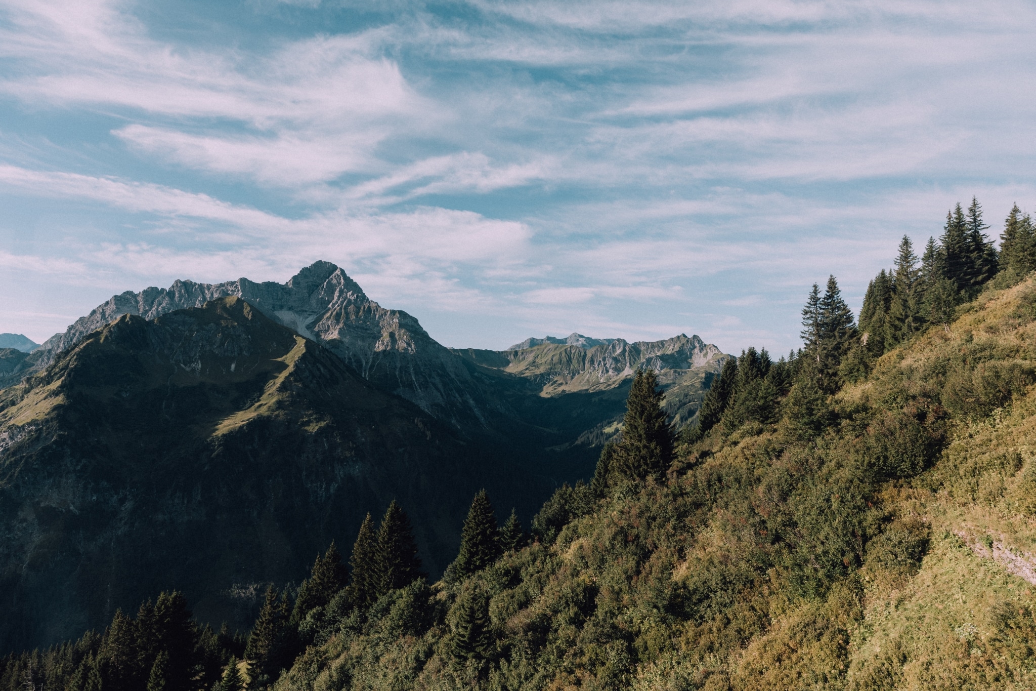 schöne Landschaft unterhalb der Baumgrenze in den Kleinwalsertaler Bergen