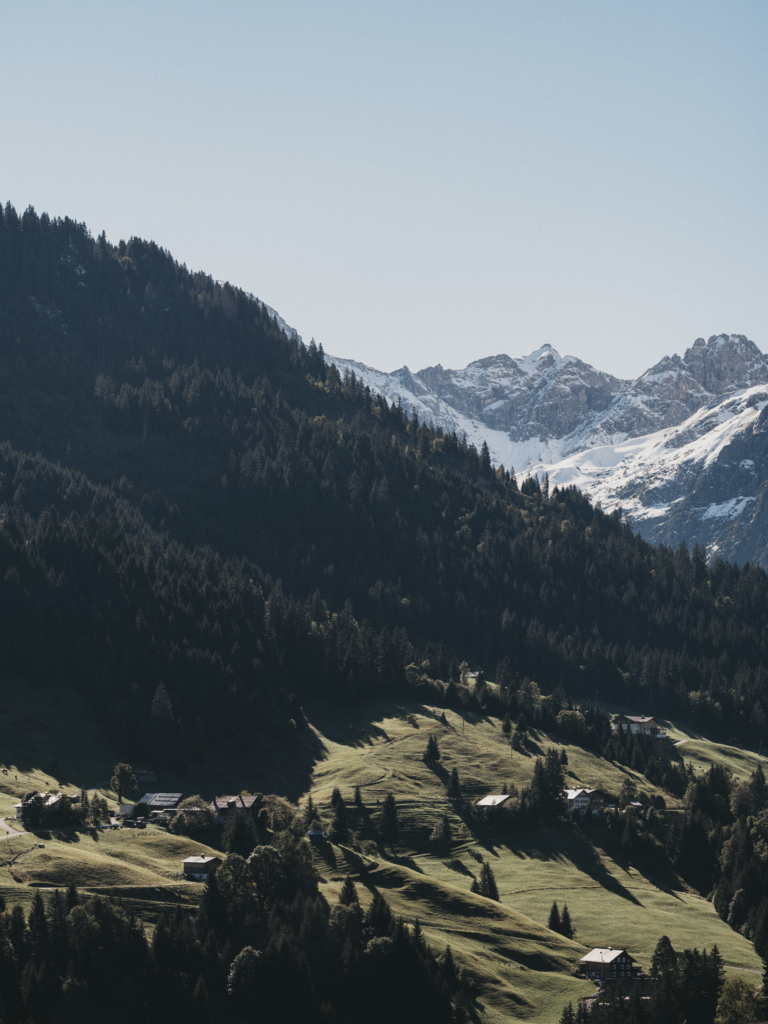 Streusiedlung im Kleinwaslertal